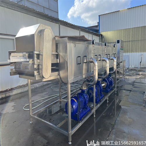 一站式解决大姜生产难题 选择瑞粮食品工业装备大姜清洗机与建筑节能系统设备